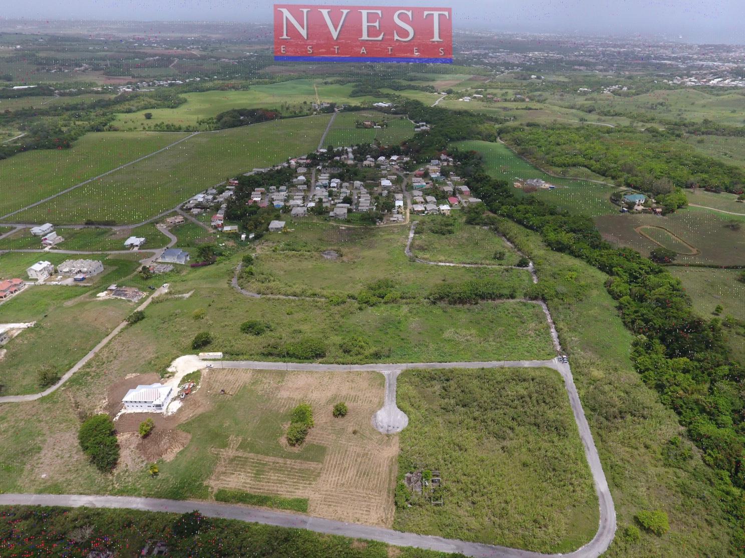 WhatsApp Image 2020-07-07 at 11.08.22