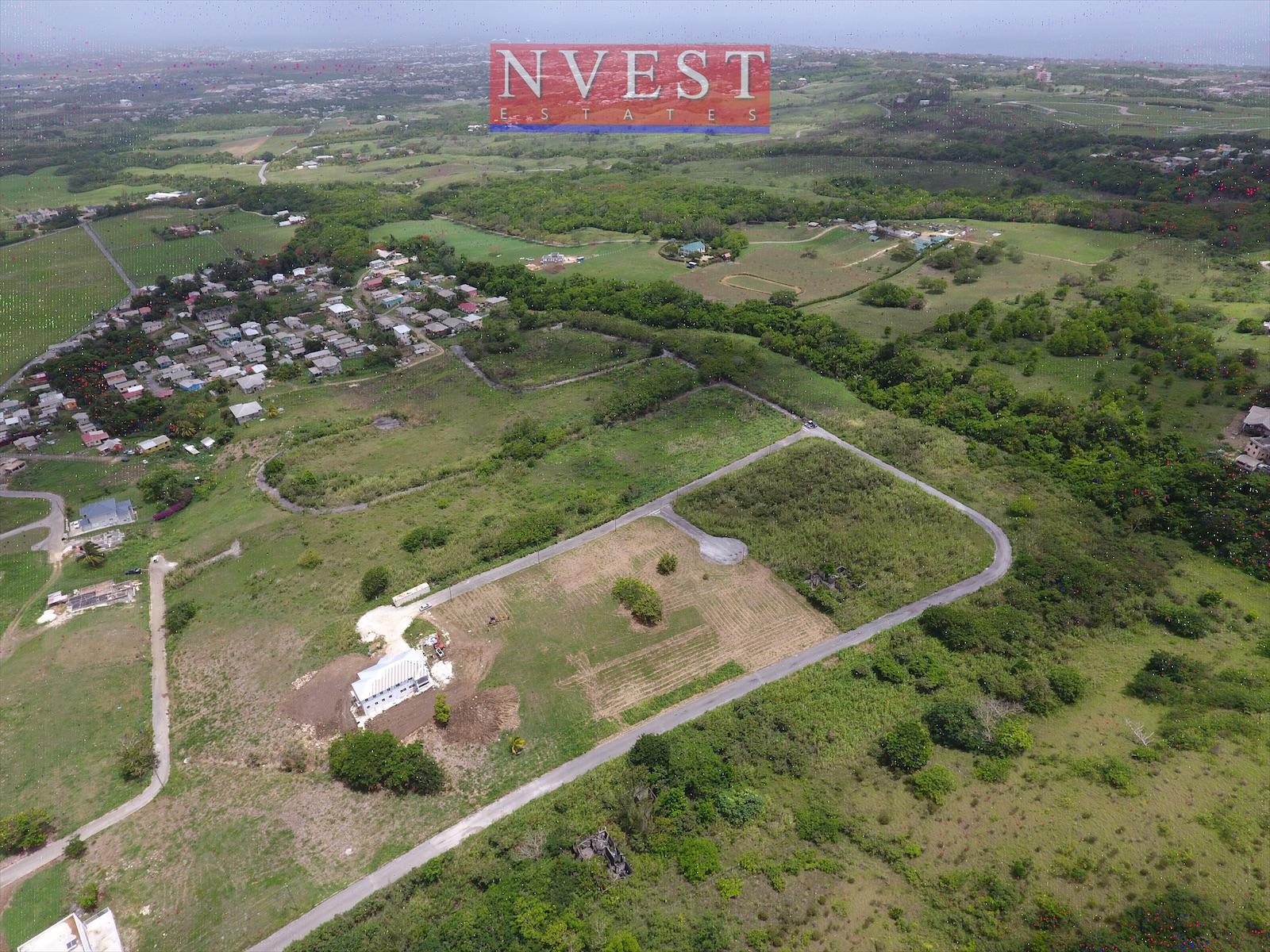 WhatsApp Image 2020-07-07 at 11.08.23