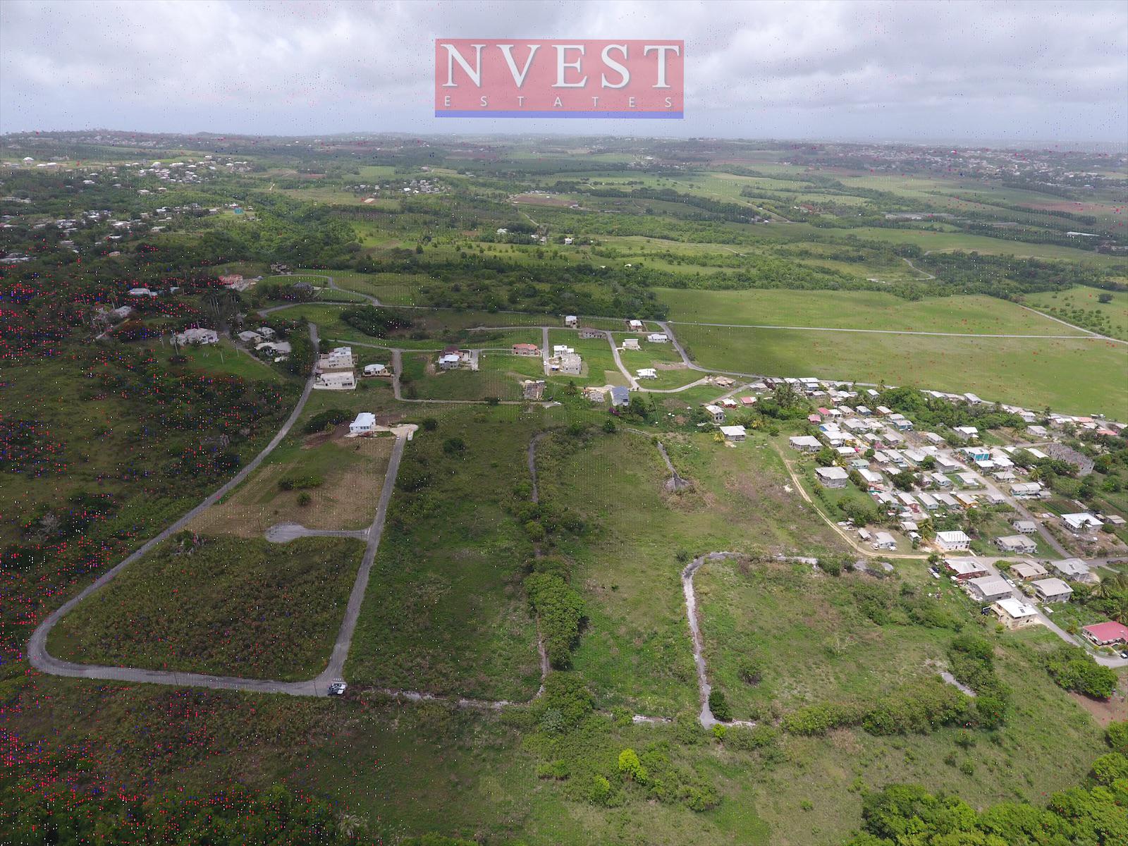 WhatsApp Image 2020-07-07 at 11.08.25 (1)