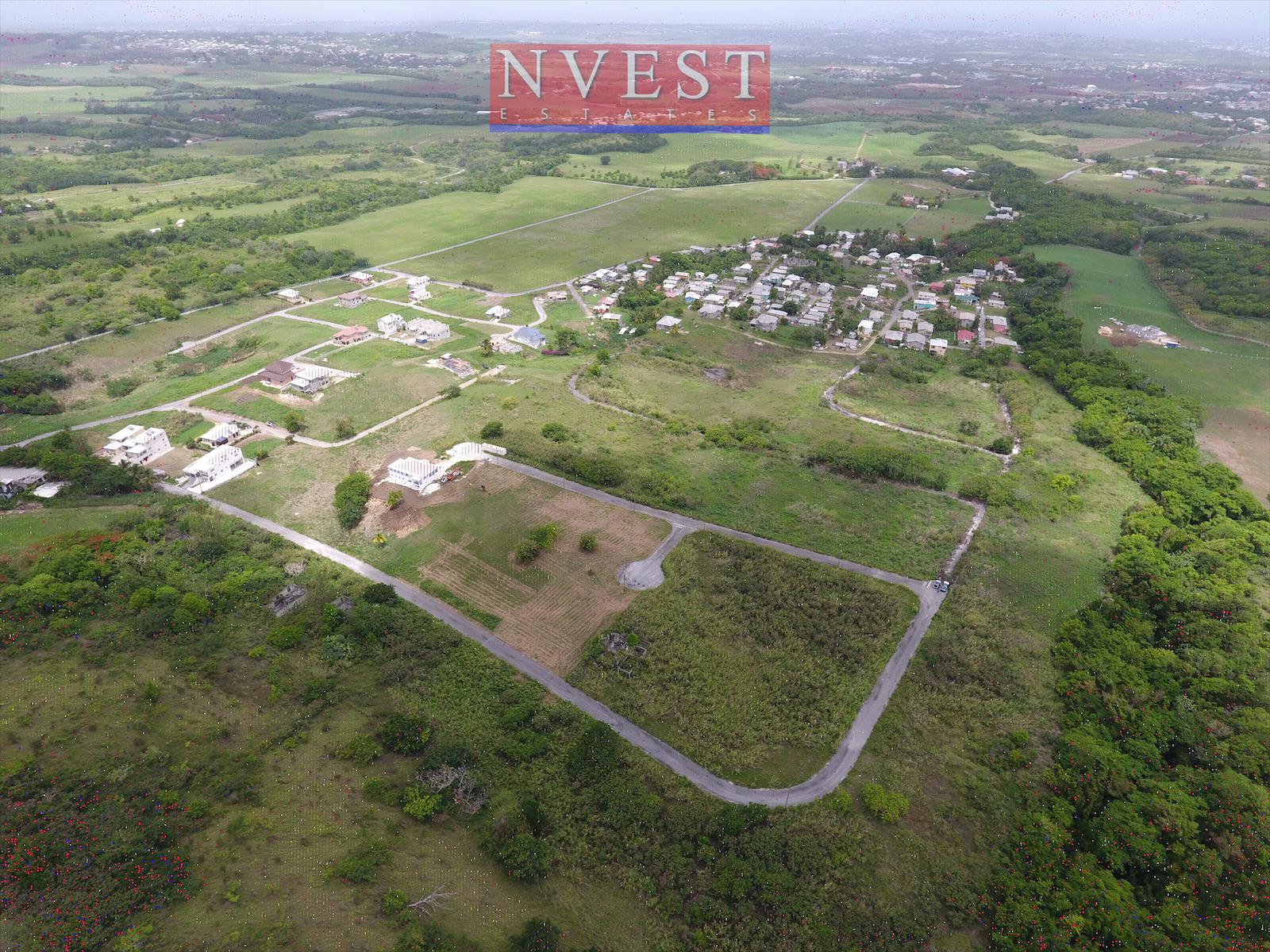 WhatsApp Image 2020-07-07 at 11.08.25 (3)