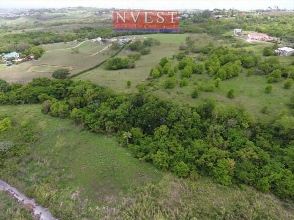 Qlistings - REDUCED – 24 Acre Development “Ayshford” St.Thomas Property Image