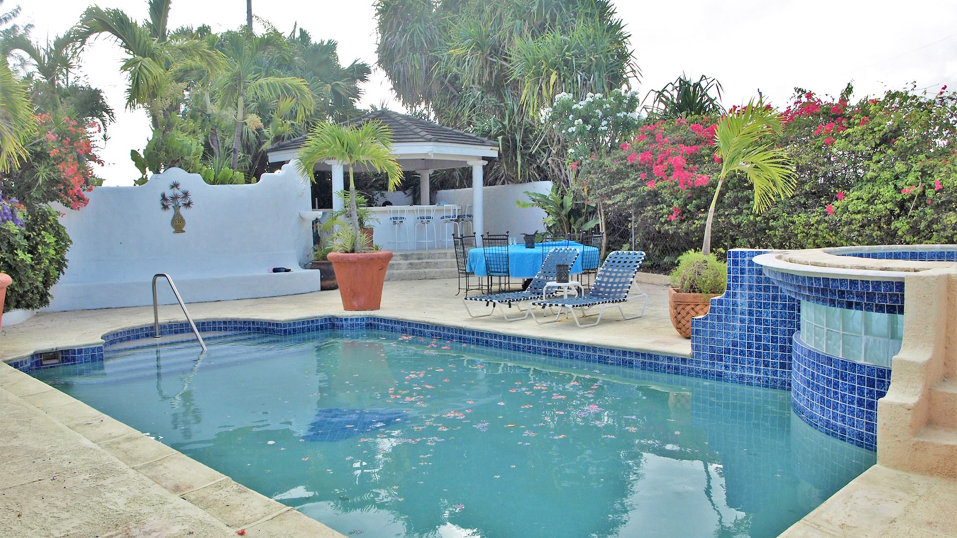 4835548b86e843d29d1647af4adf50cd