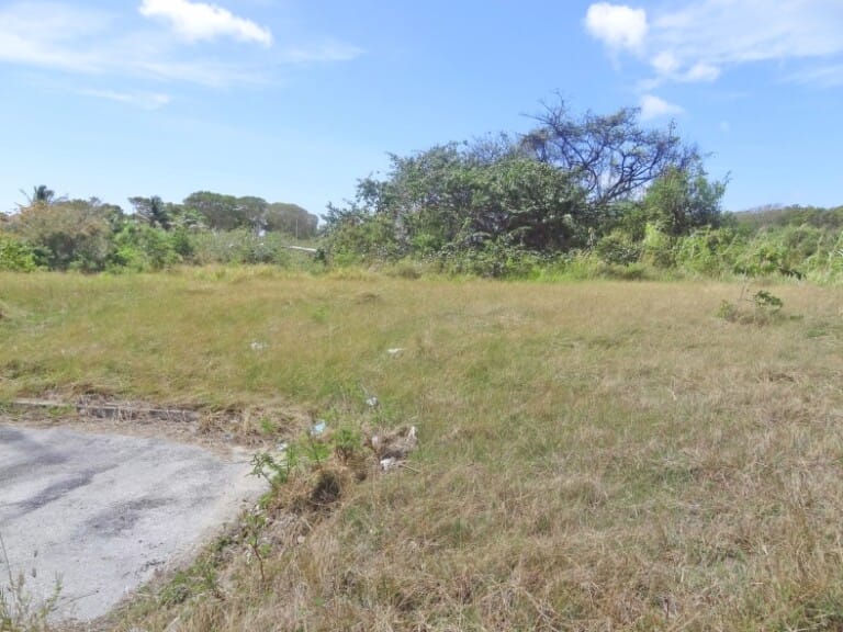 Land For Sale in Barbados Buy land in Barbados.