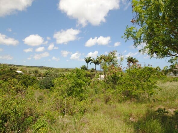 property_image