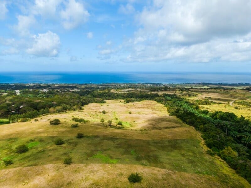 Land For Sale in Barbados Buy land in Barbados.