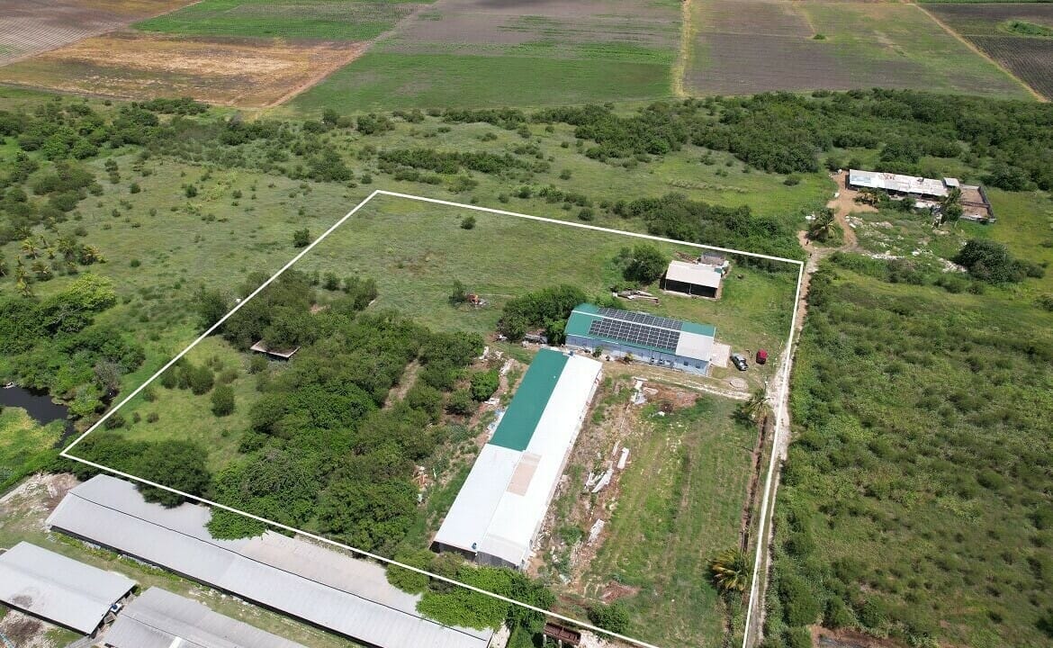 property_image