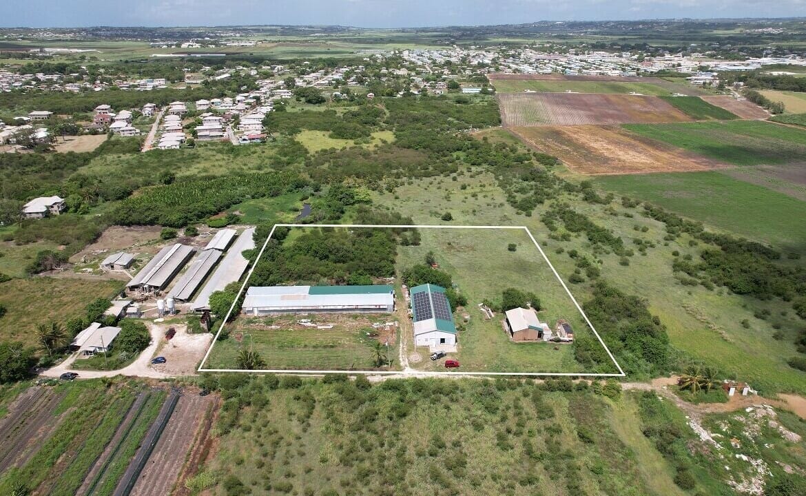 property_image