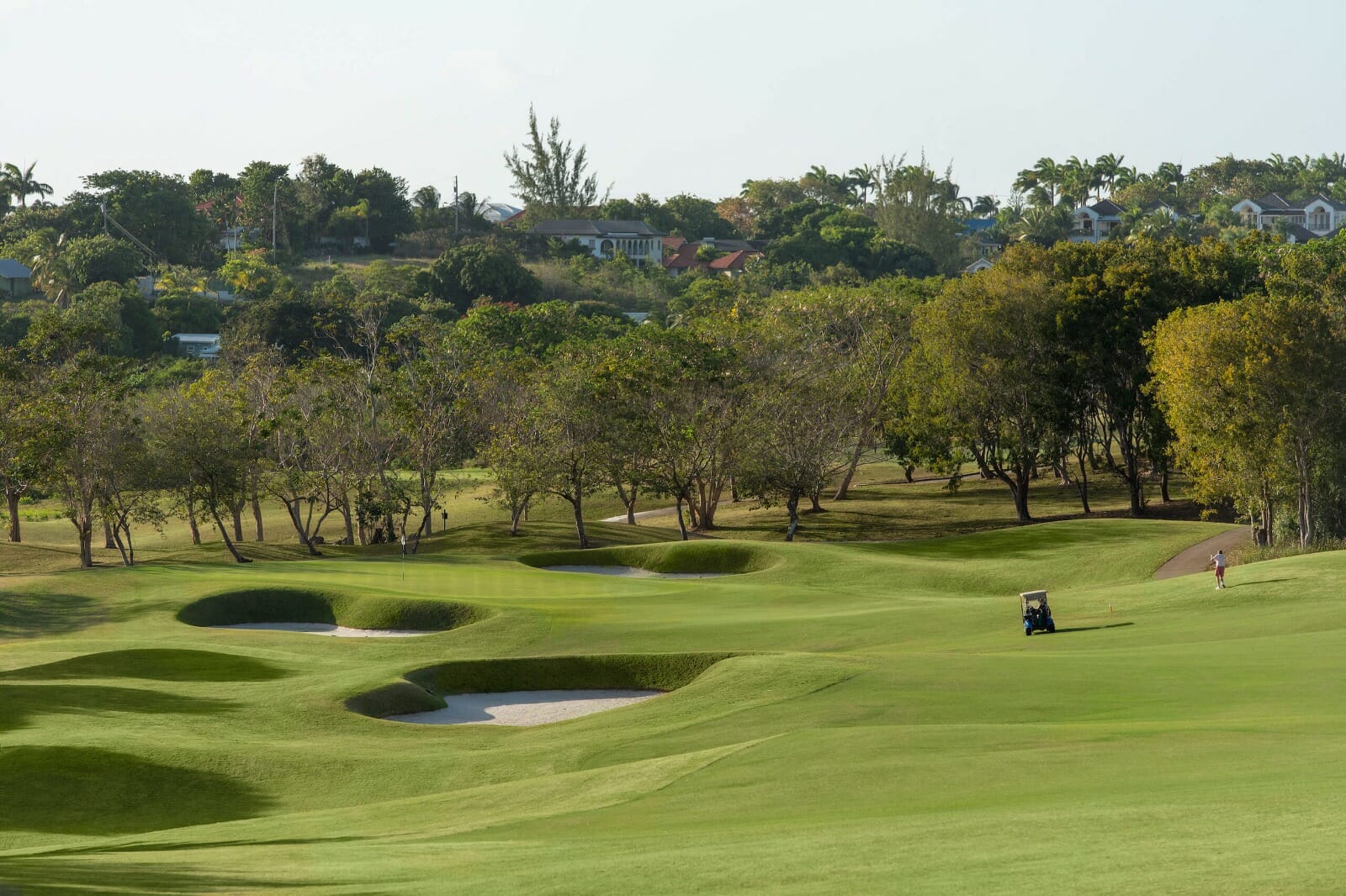 Royal Westmoreland 3