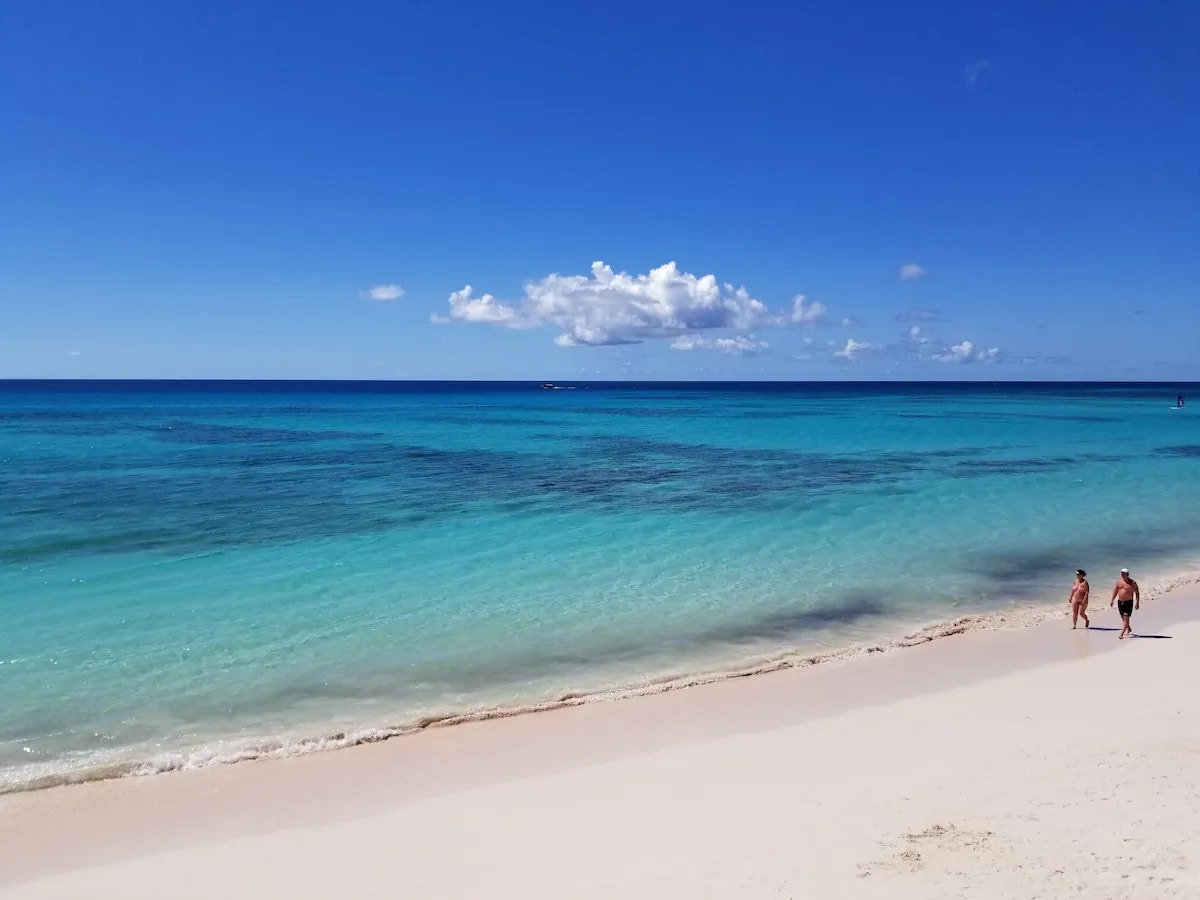 996ec69c-342f-420a-920e-9bc5927dc712