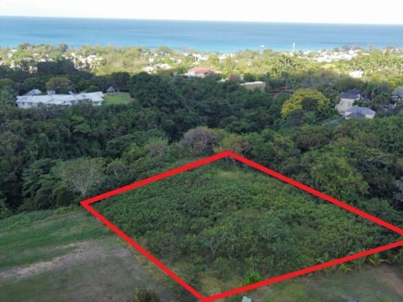 Qlistings - Large Residential Land Lot – 37 Heron Mill, Mullins St Peter Property Image