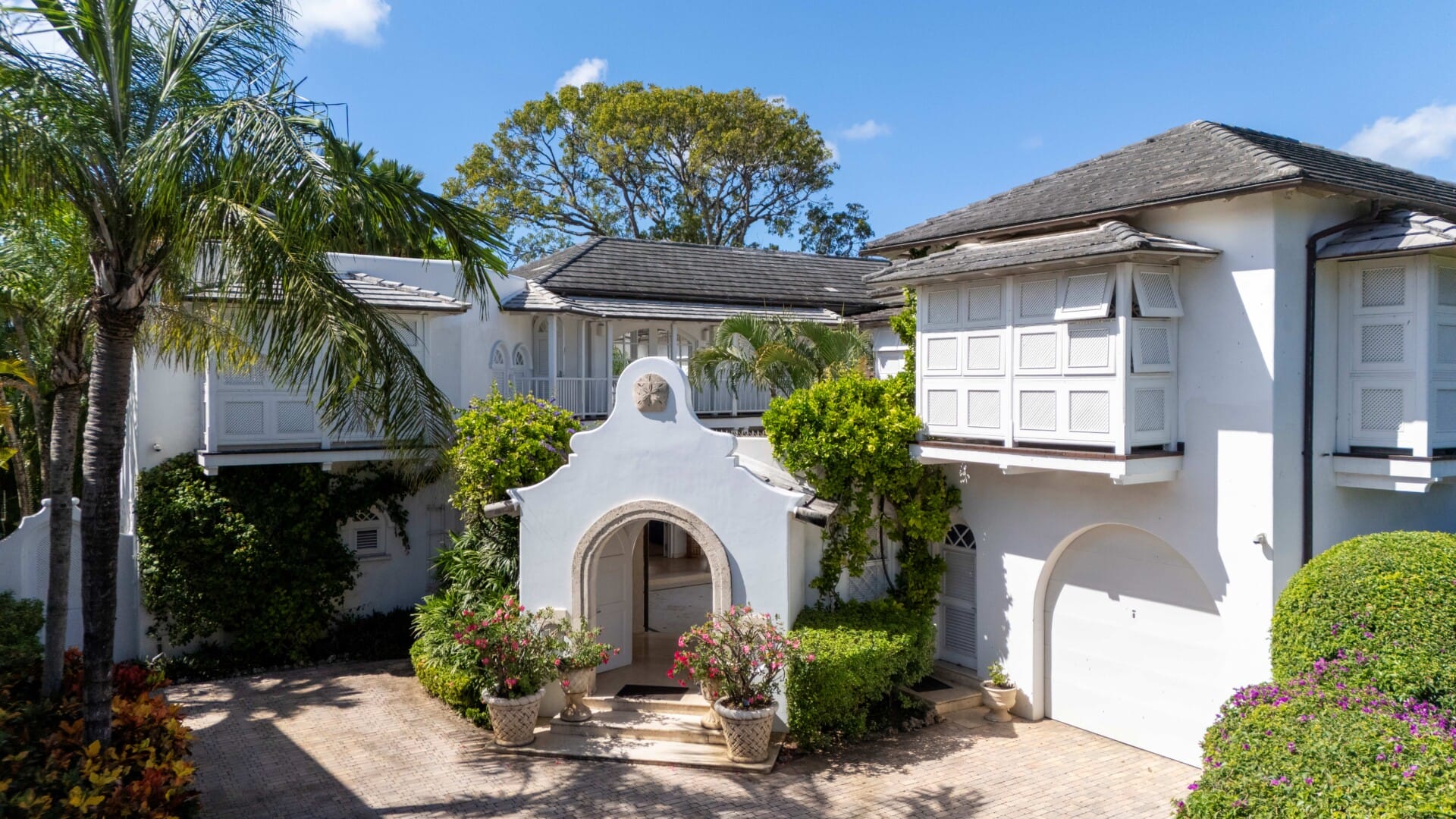 Sand Dollar Front_resize