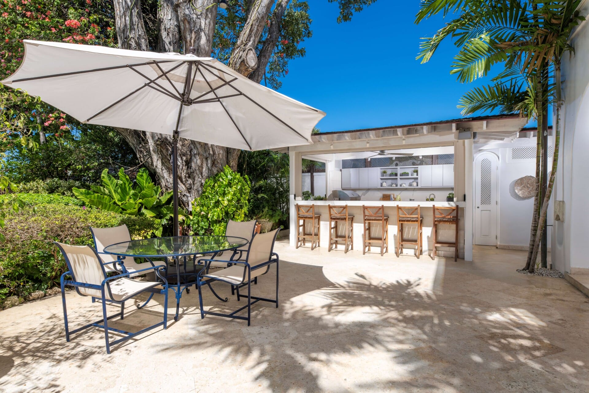 Sand Dollar_Bar