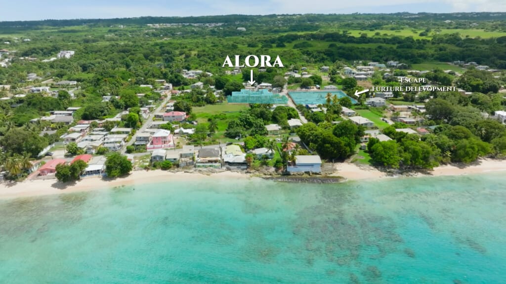 Alora Barbados