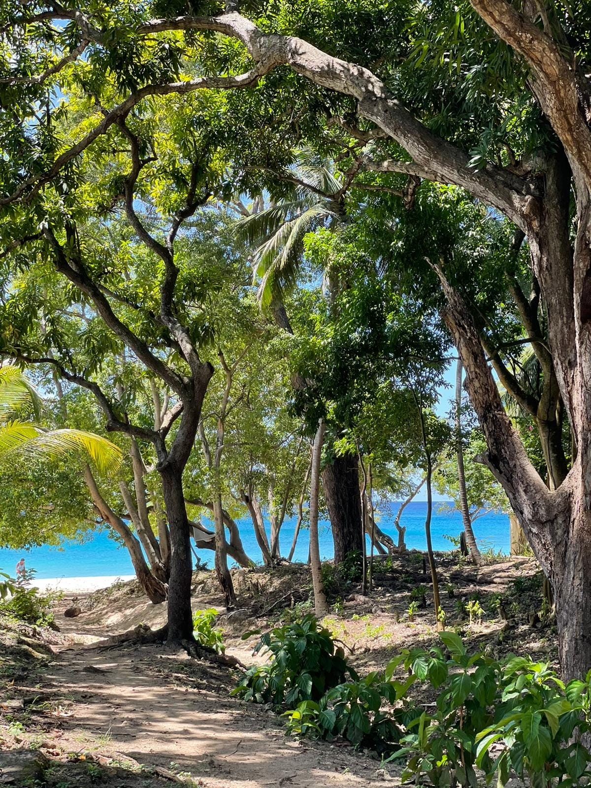 WhatsApp Image 2024-10-15 at 1.25.47 PM