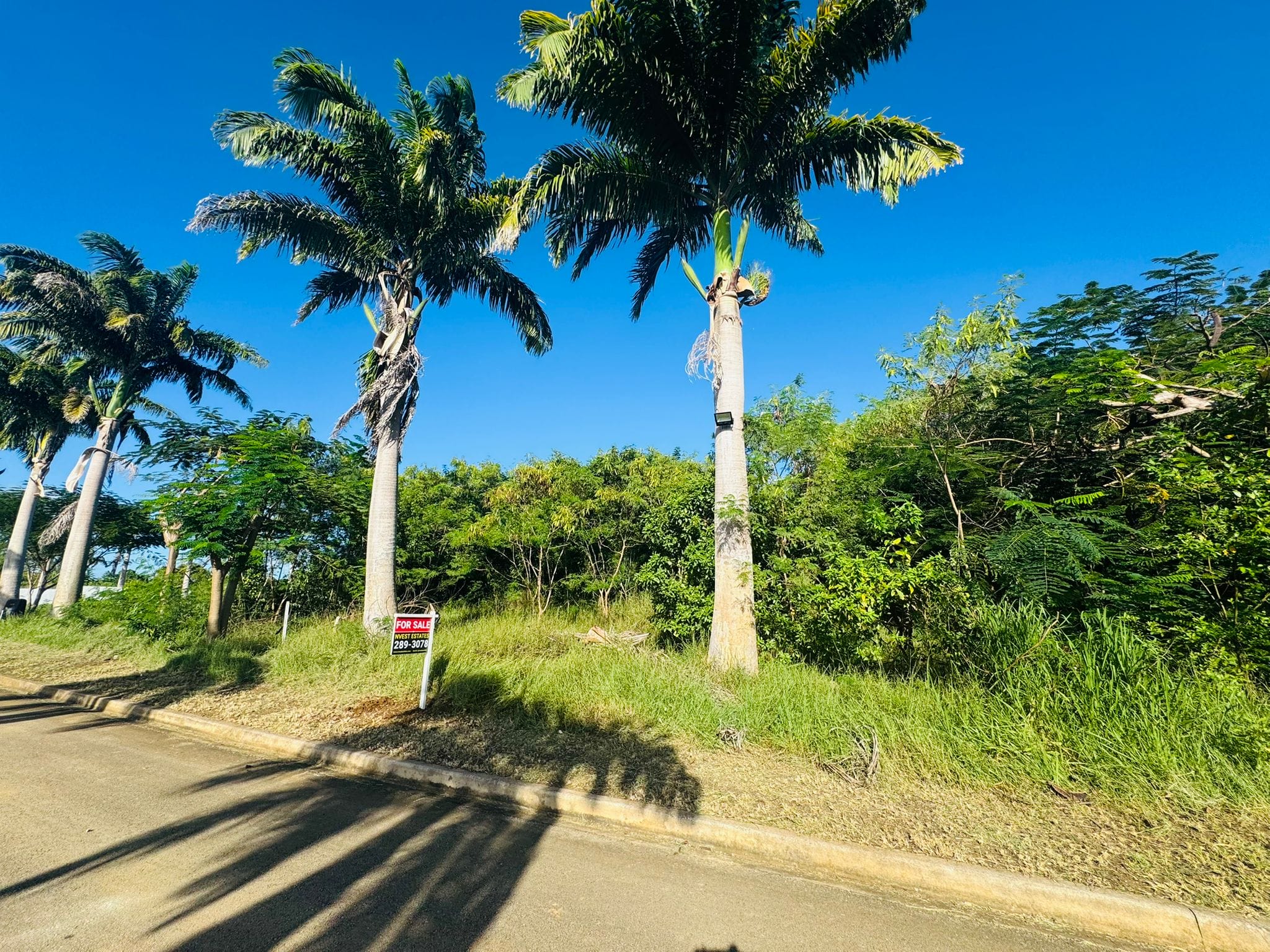 Barbados Property for Sale – Heron Mill Estate Lot 3_2