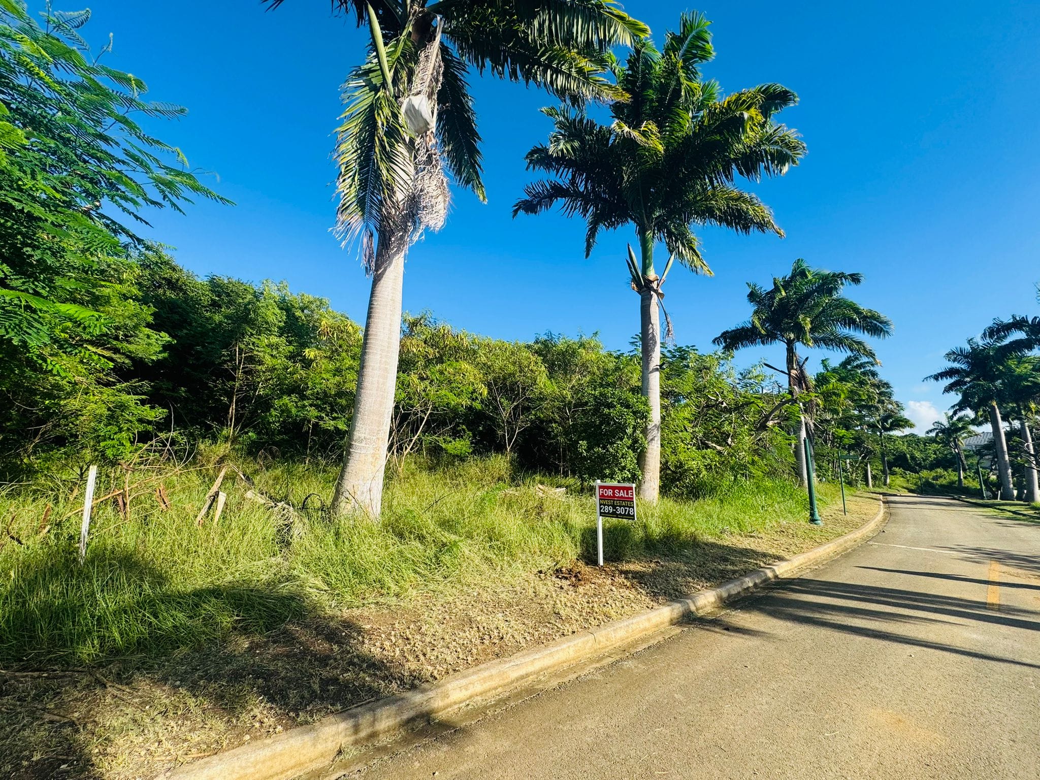 Barbados Property for Sale – Heron Mill Estate Lot 3_3