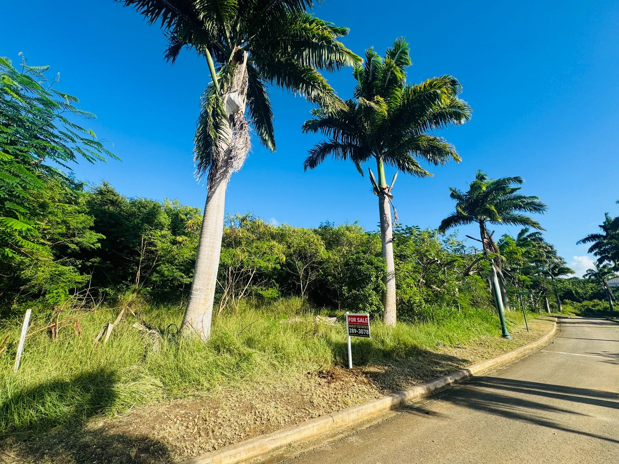 Barbados Property for Sale – Heron Mill Estate Lot 3_4