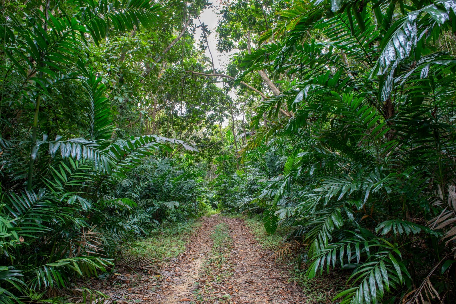 Barbados Property for Sale- Seaview Ridge Villa_16