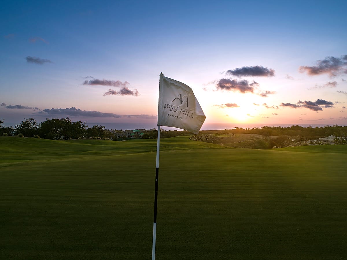 Barbados Property for Sale – Apes hill_6