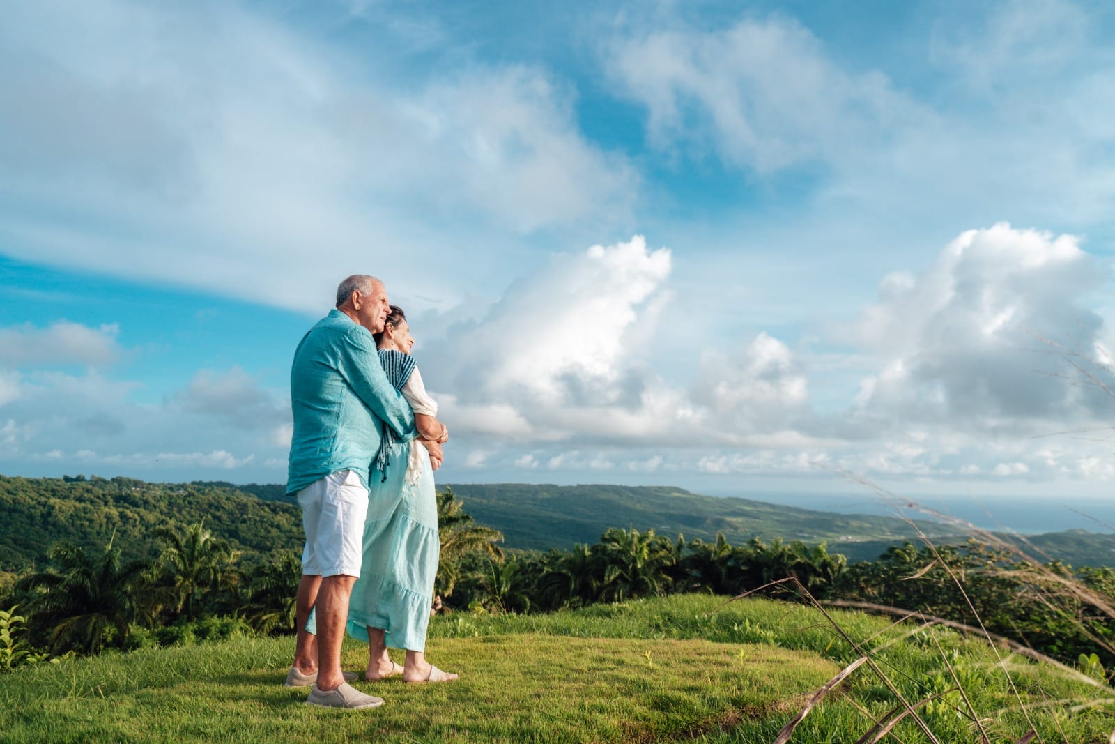 Barbados Property for Sale – Apes hill_7