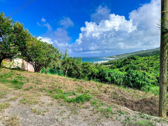 Qlistings - Elevated Lots with Ocean Views – Atlantic Park Lot 44 & 54, Cattlewash Property Image