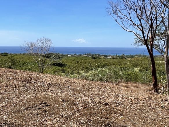 Qlistings - Large Elevated Land with Sea Views – Bakers Lot 2, St. Peter Property Image