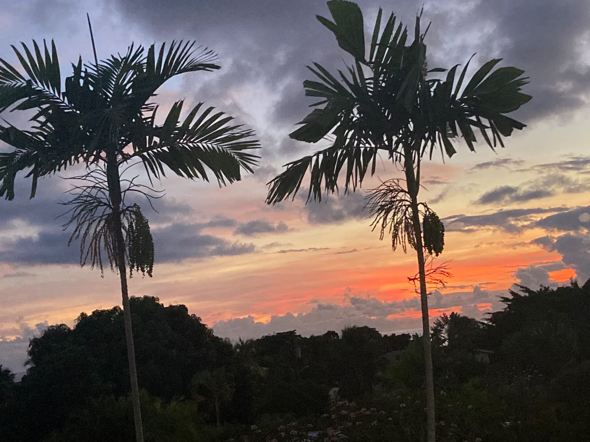 Barbados Property For Rent – Golden View 309_10_converted