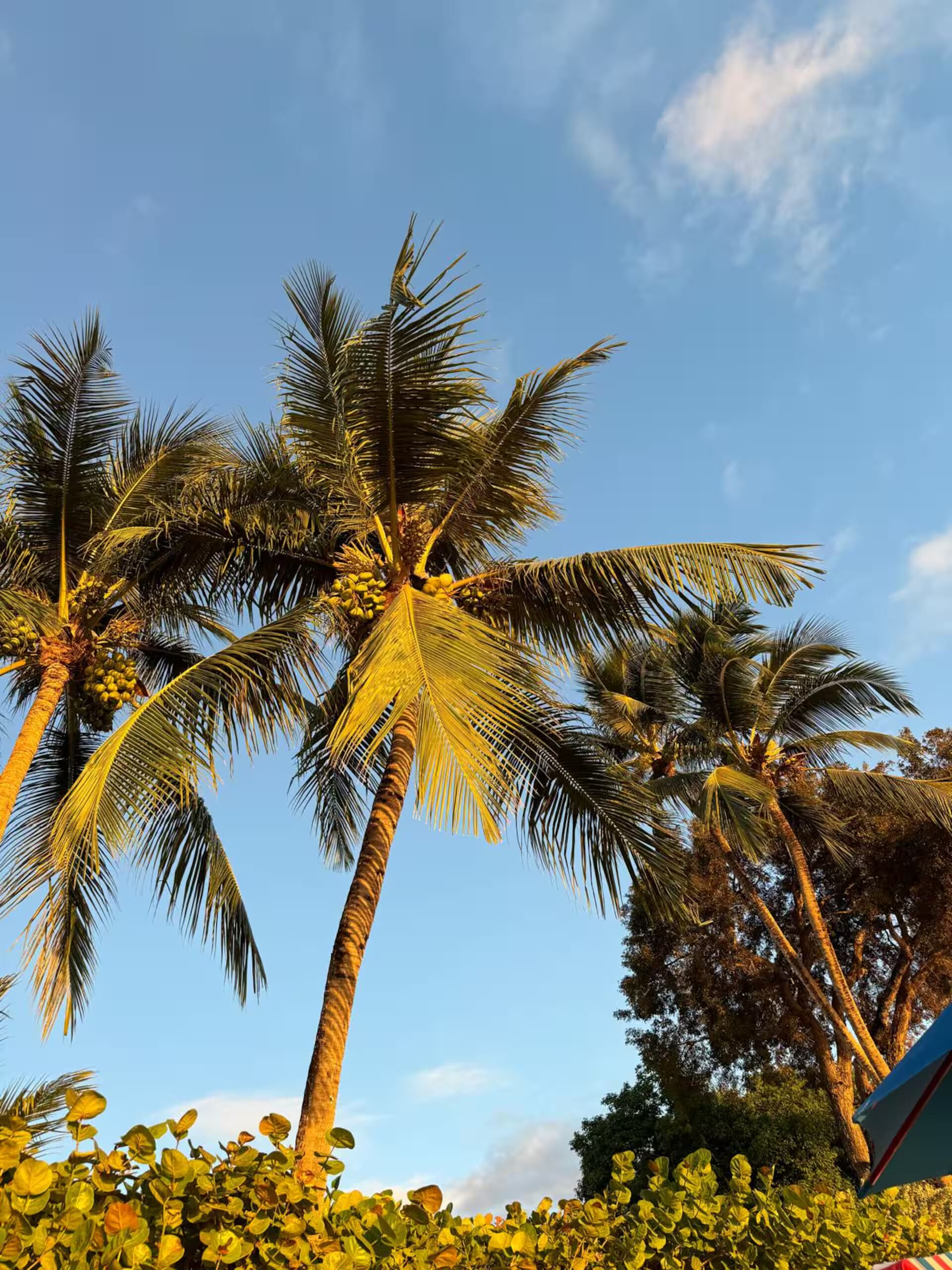 Barbados Property For Rent – Golden View 309_16_converted