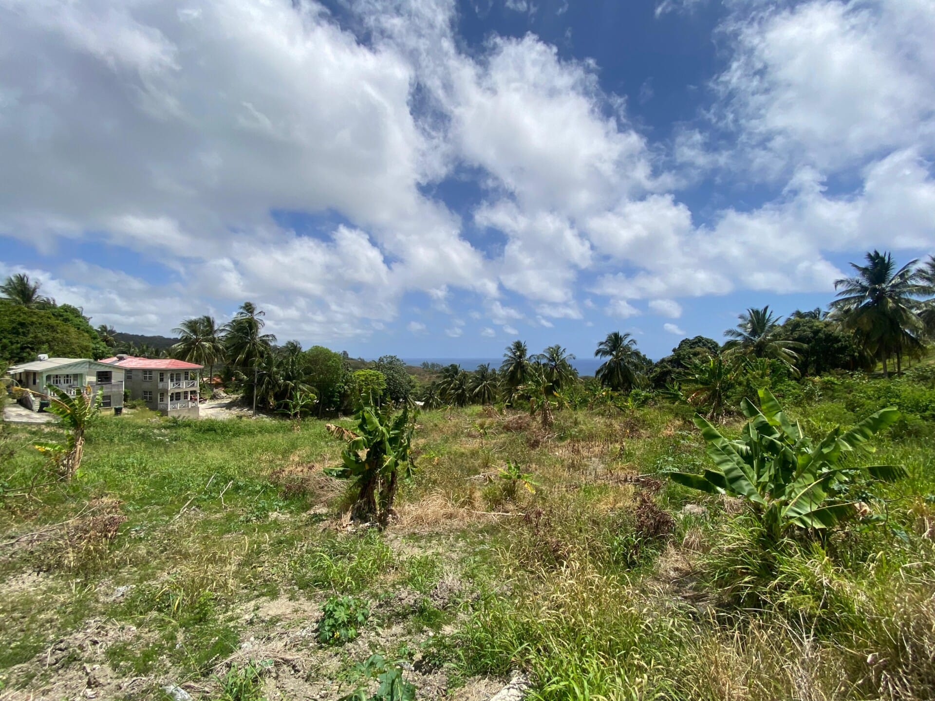 Barbados Property For Sale – 7 Acre Opportunity_4