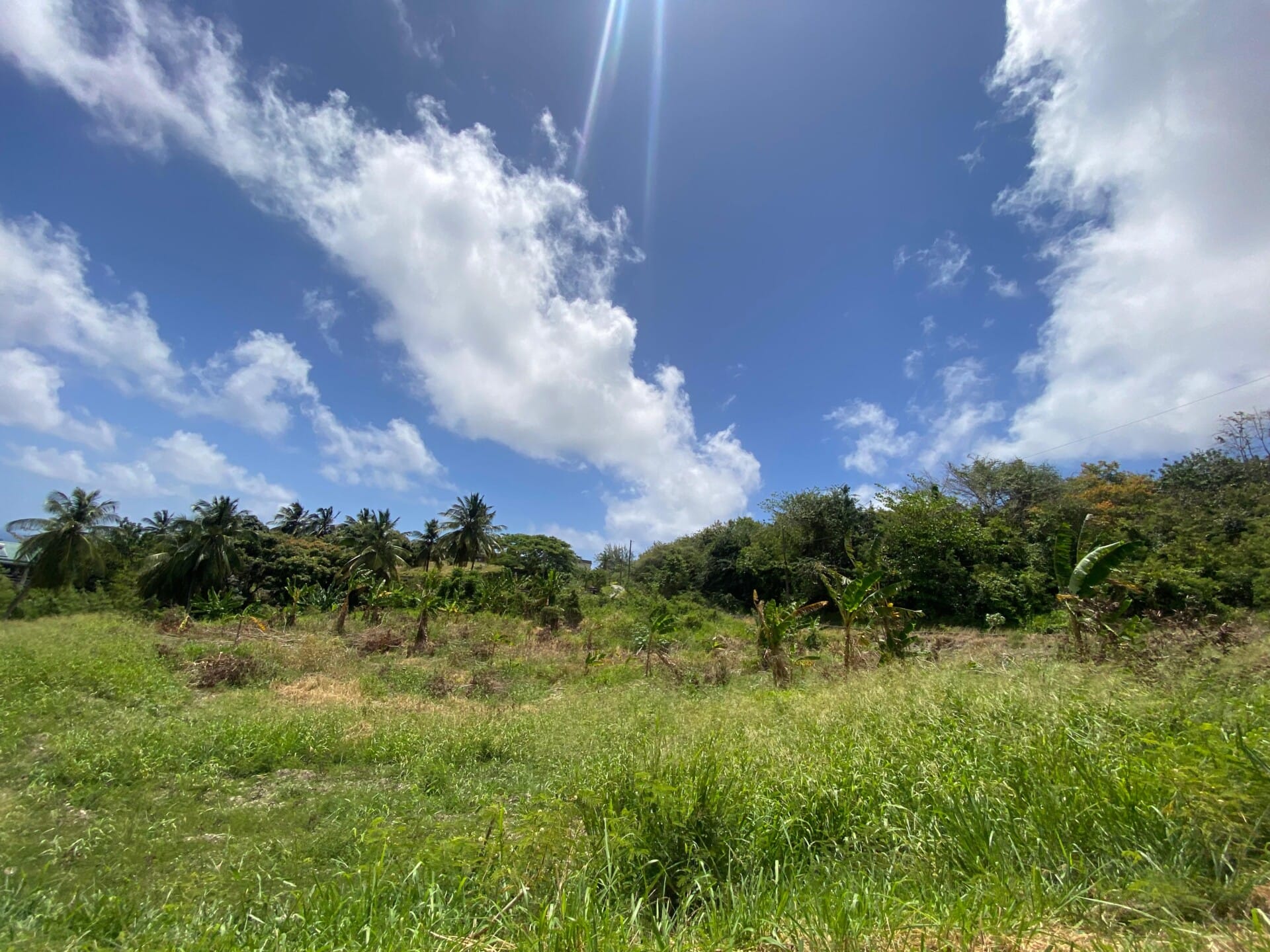 Barbados Property For Sale – 7 Acre Opportunity_5