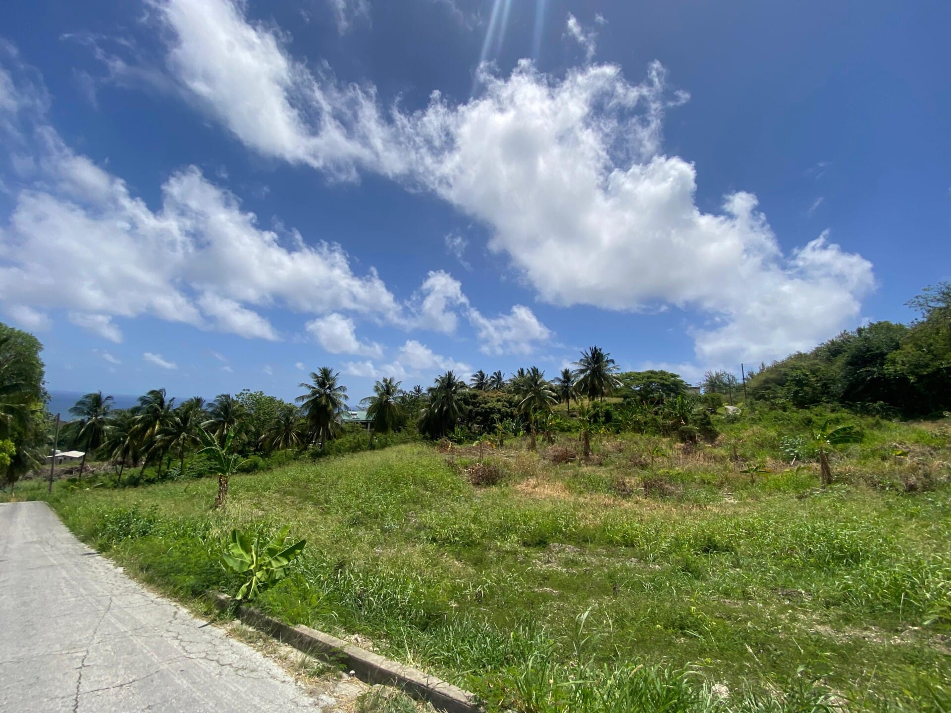 Barbados Property For Sale – 7 Acre Opportunity_6