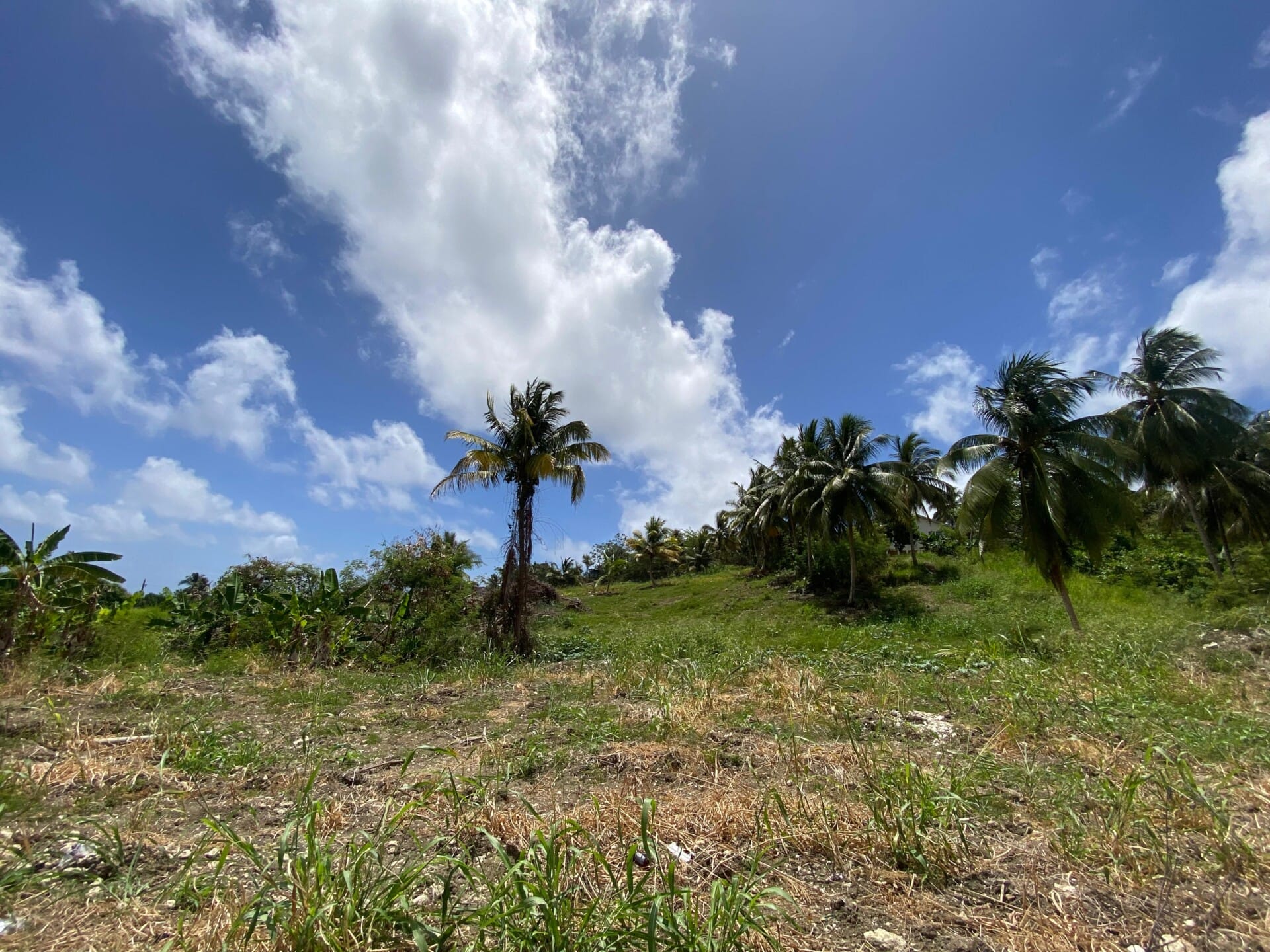 Barbados Property For Sale – 7 Acre Opportunity_7